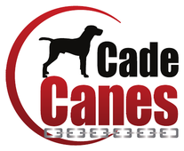 Cade Canes